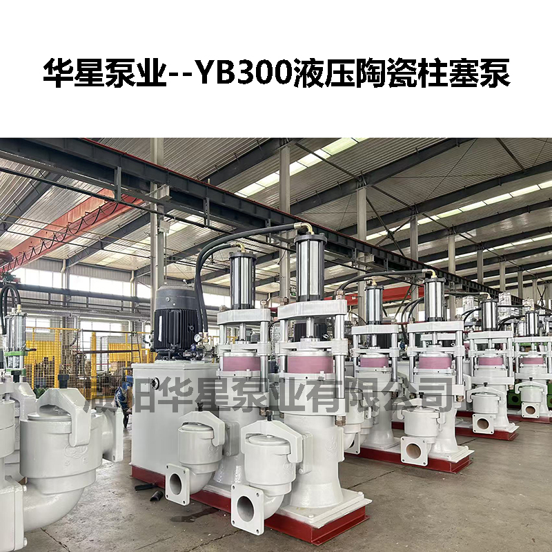 YB300液壓陶瓷柱塞泵-04 YB300液壓陶瓷柱塞泵-04