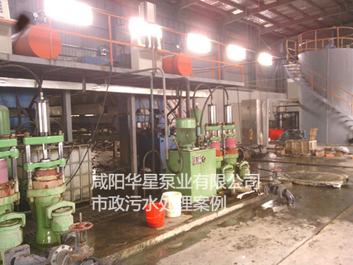 污水處理廠使用YBH300柱塞泥漿泵客戶案例